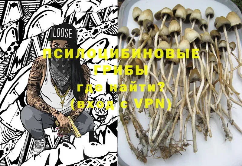 Галлюциногенные грибы Cubensis  ссылка на мегу ссылки  Новоузенск 